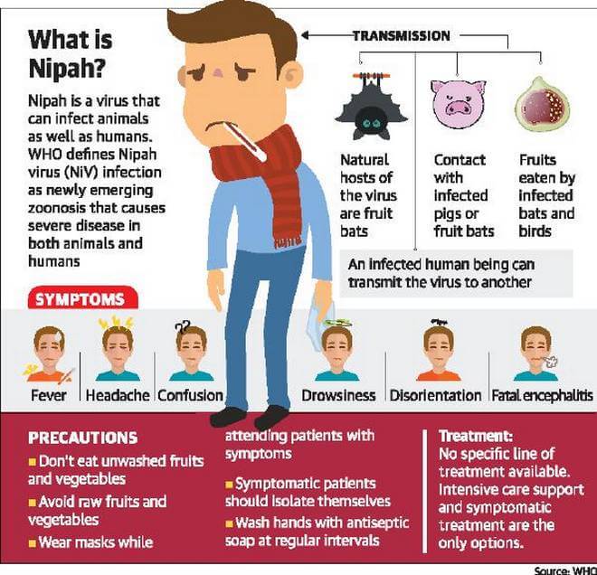 Nipah Virus Factsheet Signs And Symptoms