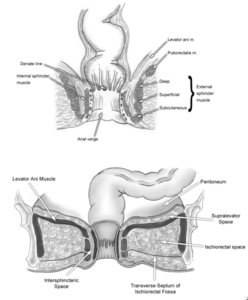 fistula- padham health news