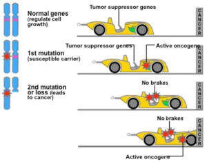 cancer genetics