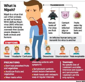 nipah virus 